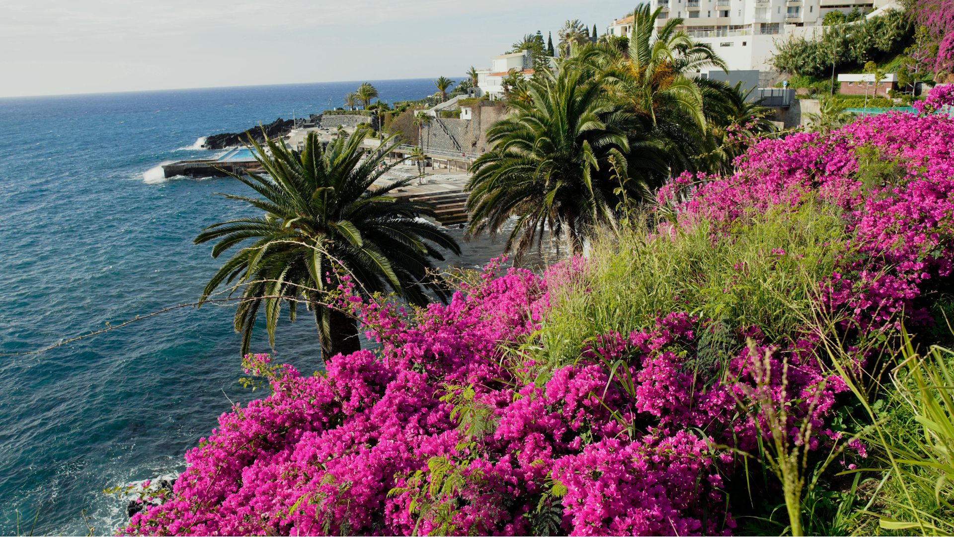 paysage 2