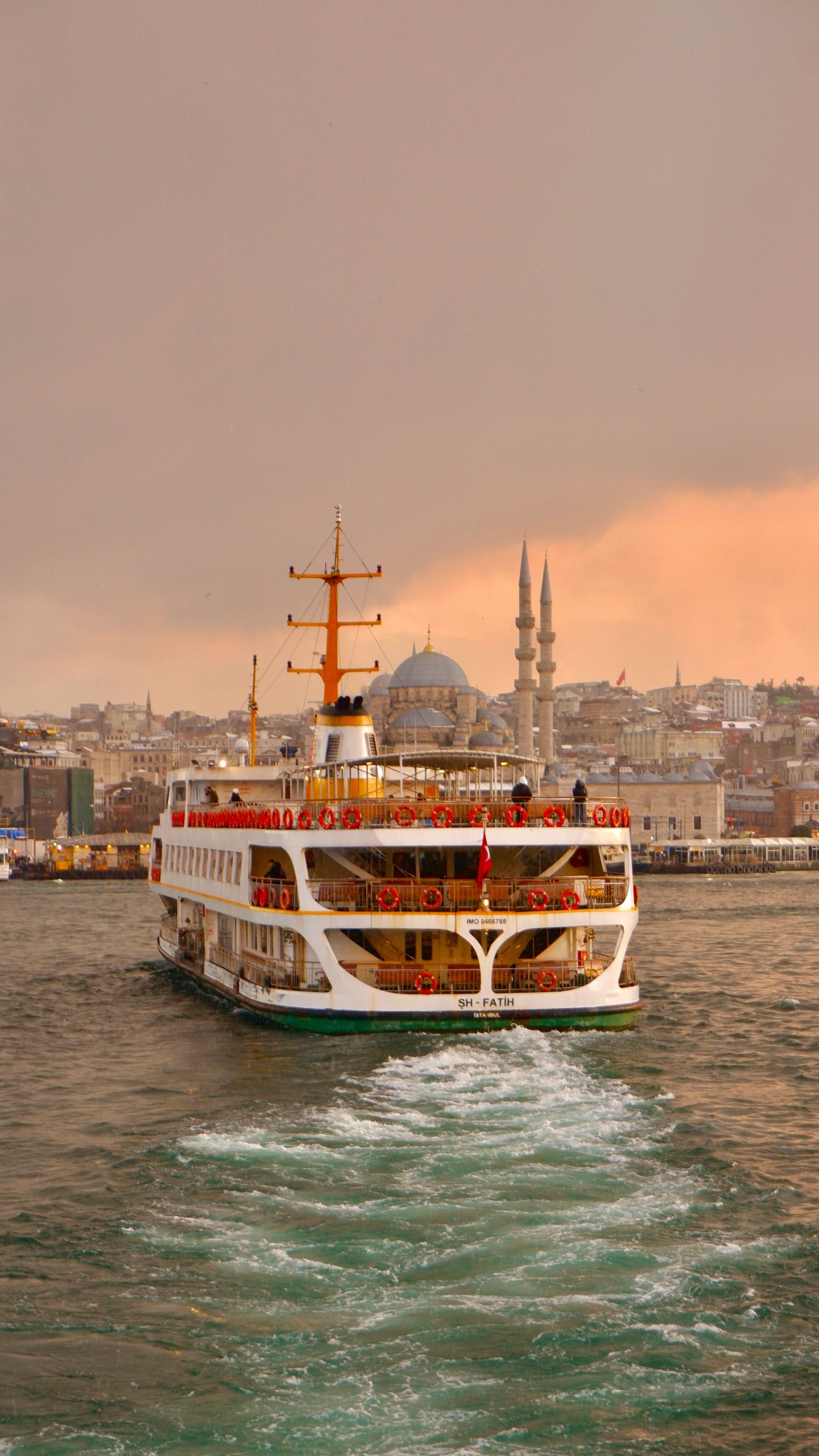 pexels-sabriye-zeynep-152667119-31093824
